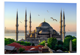 Tableau en PVC  The blue mosque in Istanbul