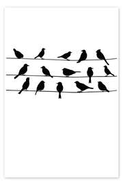 Poster Gazouillis d'oiseaux