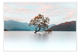 Poster  Arbre sur le lac Wanaka - Nicky Price