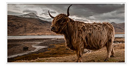 Poster  Vache highland en Écosse - Art Couture