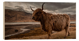Tableau en bois  Vache highland en Écosse - Art Couture