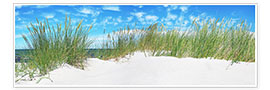 Poster  Panorama des dunes de la mer Baltique - Art Couture