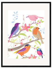 Impression artistique encadrée  Oiseaux colorés - Sophie Hanton